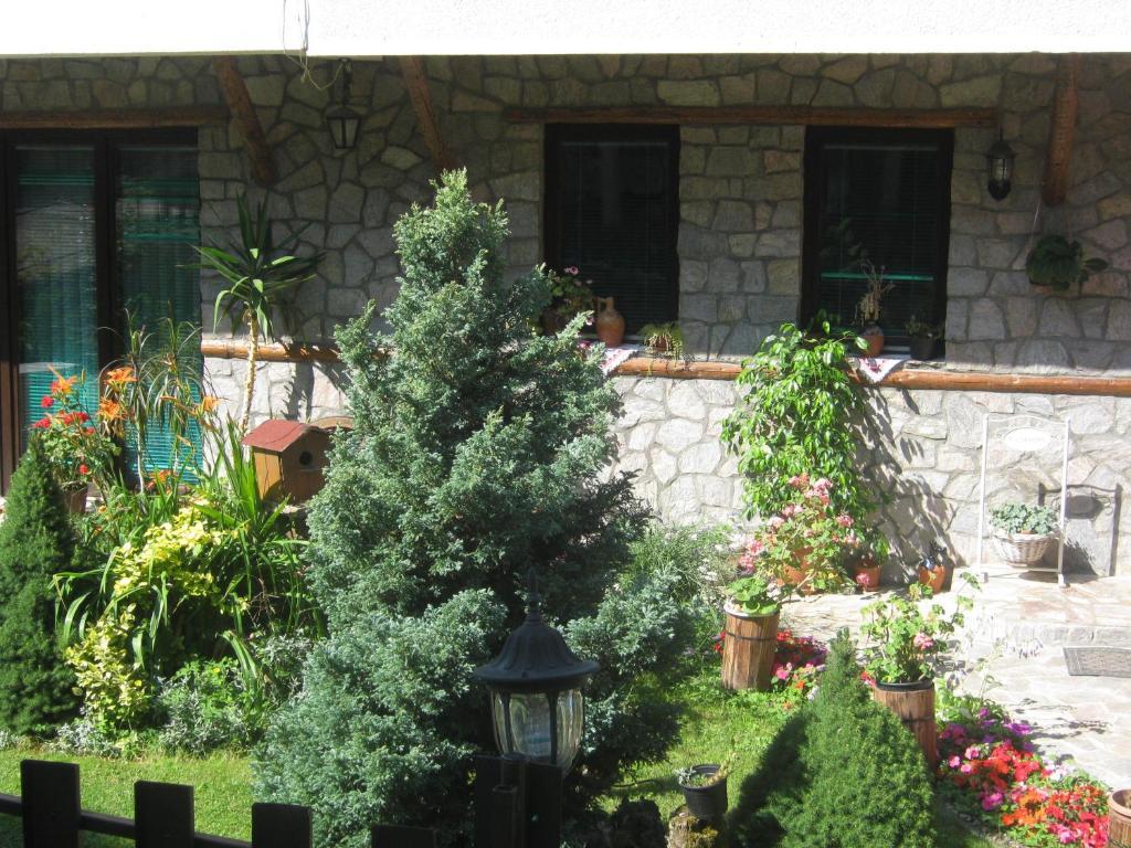 Risto'S Guest House Elshani Rom bilde